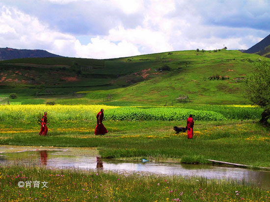 六月旅游国内最佳地图片