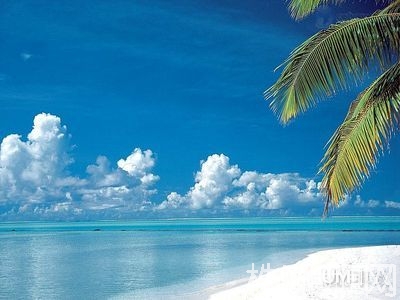 全2013最新版的]  搞笑个签大全2013最新版的  